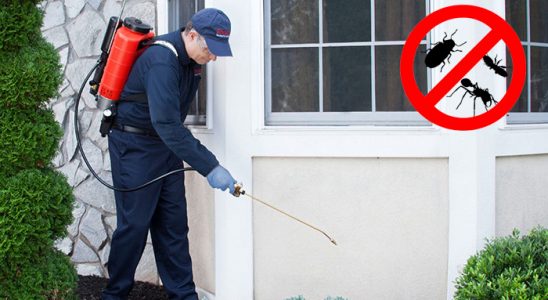 Dilovası Karınca İlaçlama böcek ilaçlama ve haşere kontrolü — ilaclama-tr.com